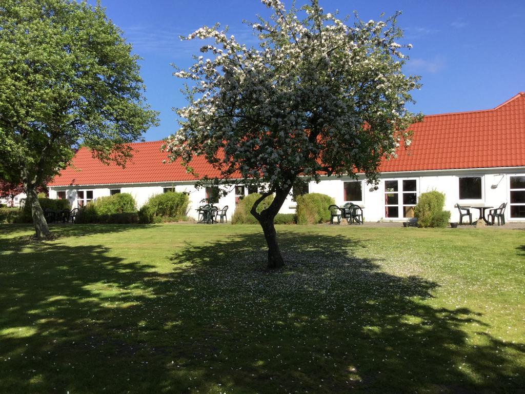 Gammelgaard Feriecenter Laeso Bagian luar foto